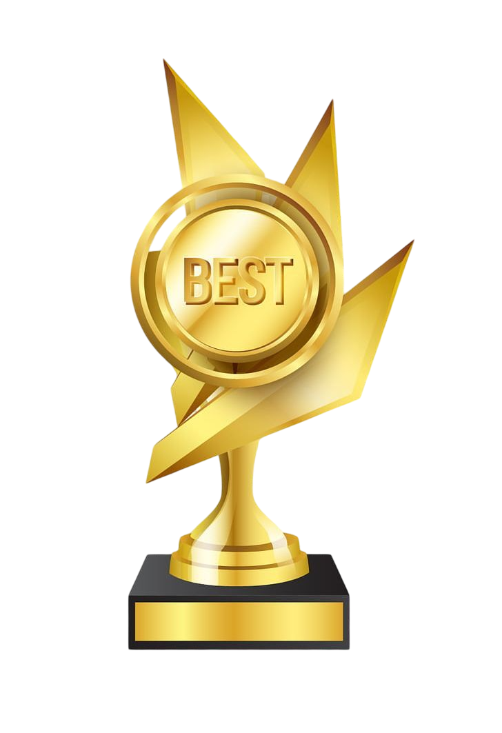 Excellence Award
